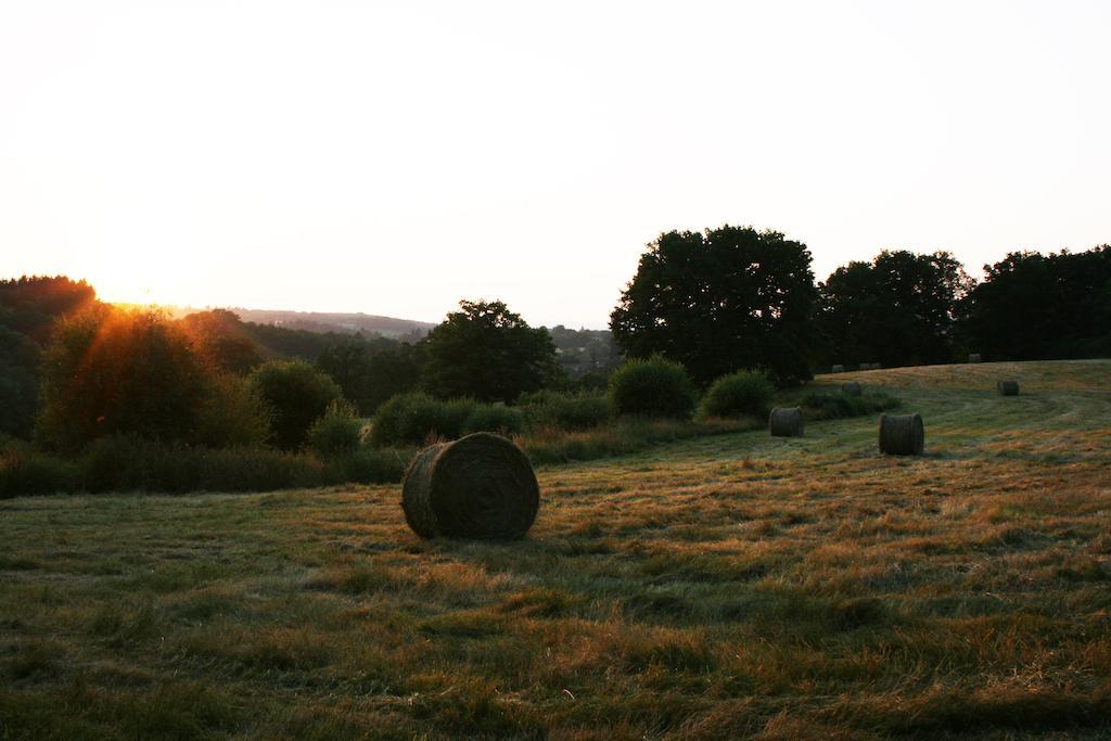 Domaine De Romefort Saint-Léonard-de-Noblat Szoba fotó